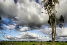 李书福：汽车工业存在“严重的产能过剩” 吉利不再建设新的汽车工厂