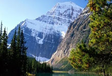 比亚迪股东大会 王传福哽咽！目标成为未来的丰田