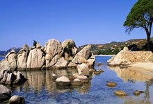 上市1小时大定过1000辆 尊界S800的最终售价偏向务实